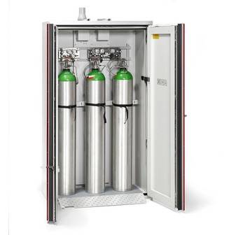 Купить Шкаф для хранения газовых баллонов  DUPERTHAL ECO+ XL (73-201260-011) LAB по лучшей цене с доставкой - интернет-магазин Прогрессивные решения