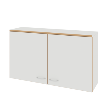 Купить Шкаф навесной ЛАБ-1200 НШ-2 LAB по лучшей цене с доставкой - интернет-магазин Прогрессивные решения